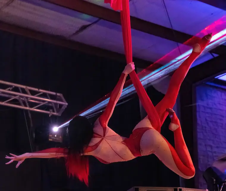 Aerial hammock under DragonWolf projections at Art Explosion